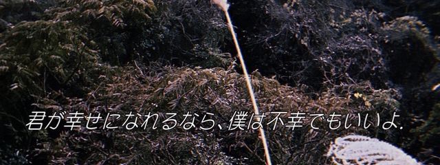 　꒷꒦❤︎ ギリギリ制服で居られるさんの壁紙画像