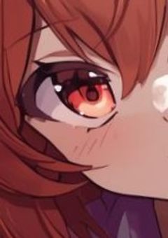 妹、ネットの弟子でした。