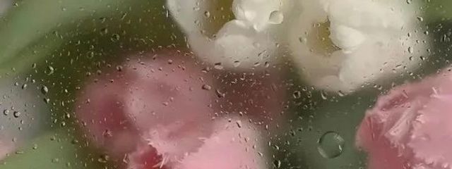 リムさんの壁紙画像