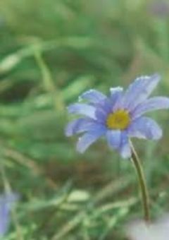 　#　詞 を 綴 れ ど