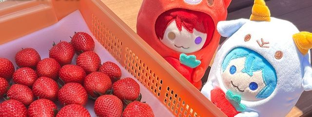 ぱせりさんの壁紙画像