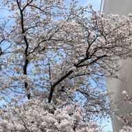 神崎 杏鈴@投稿頻度めっちゃ遅いさんのアイコン画像