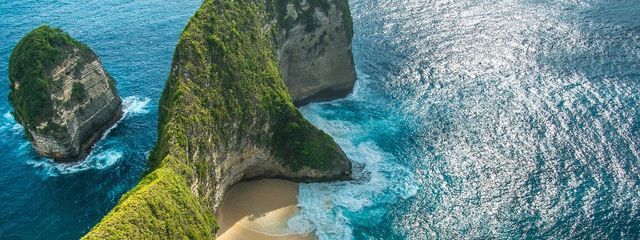 ヤシの木さんの壁紙画像