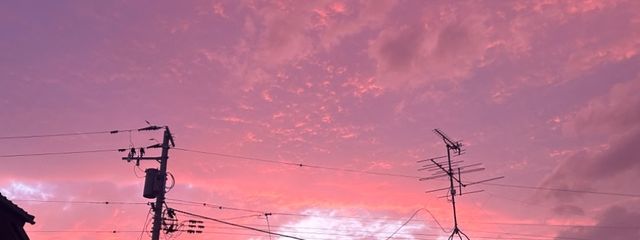 Kameyalan🐼🎩　さんの壁紙画像