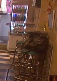 推しと好きな人