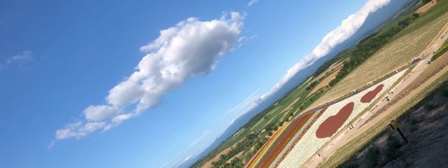 誰かさん。@フォロバ💯さんの壁紙画像