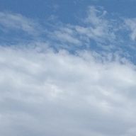 なな🐹さんのアイコン画像