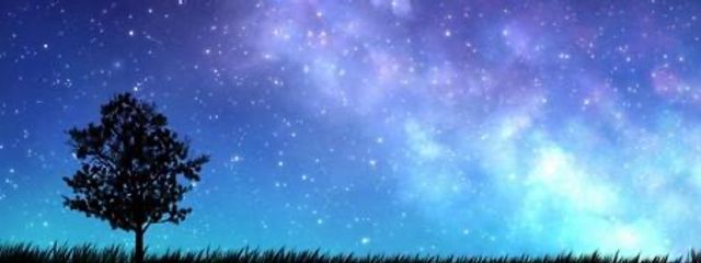 音月星歌さんの壁紙画像