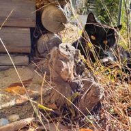 みまるさんのアイコン画像