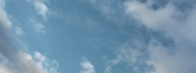 もちーずさんの壁紙画像