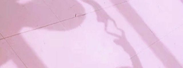 　ひ　な　さんの壁紙画像