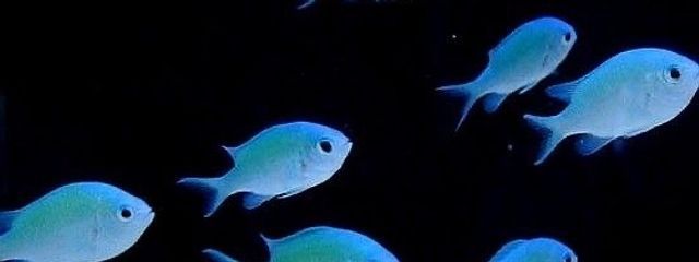 きわめて短い時間Pさんの壁紙画像