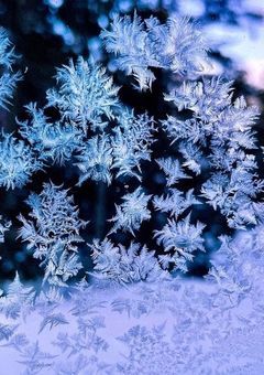 【参加型】男女混合グループなんて聞いてない！！