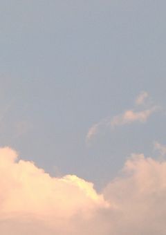 虹桃ヶ丘学園
