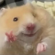 こけしさんのアイコン画像