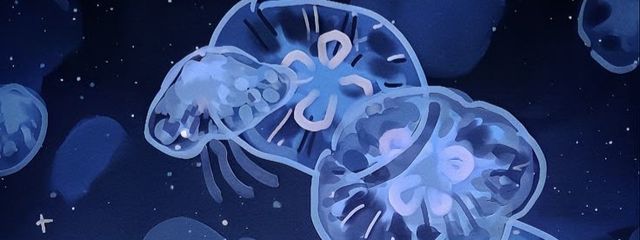 飛来🎧⚡️🩸 ［本垢］さんの壁紙画像