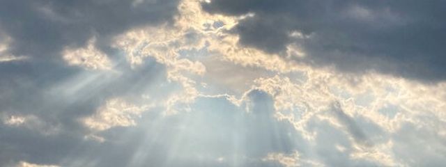 🫧Cider。さんの壁紙画像