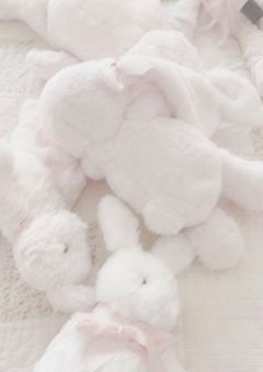 うさぎちゃんの秘めやかな欲