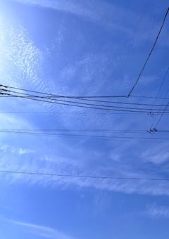 宣伝