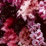 aoiharuさんのアイコン画像