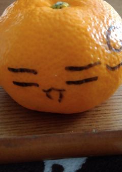 中国の姉は今日も元気です