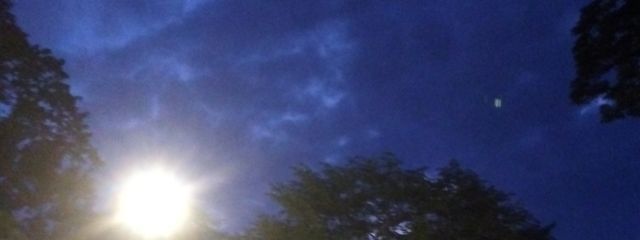 rokkunさんの壁紙画像