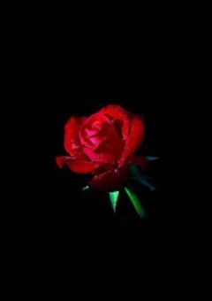 『ぎんしろの秘密を知らない』