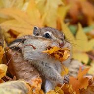 R1019さんのアイコン画像