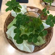 teaUさんのアイコン画像