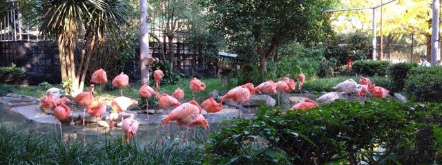 みゆるんさんの壁紙画像