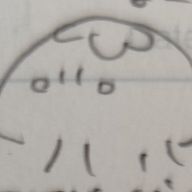 くらげさんのアイコン画像