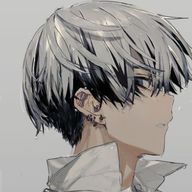 △Zll▼@低浮上さんのアイコン画像