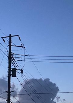 転生してしまったので、なんとか消える事にします【Dr.STONE】