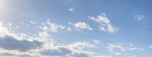 夏みかん🐮さんの壁紙画像