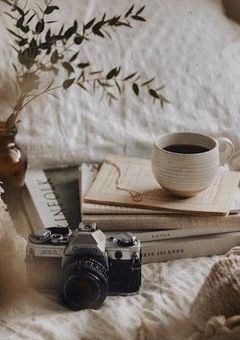 快盗のトリックは恋の罠【メンテ中】