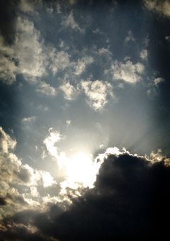 セブチ唯一の日本人メンバー