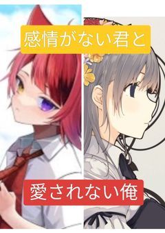 感情がない君と愛されない俺