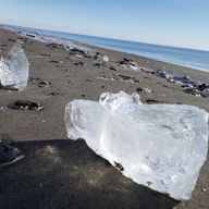 カエデさんのアイコン画像