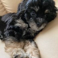 なさんのアイコン画像