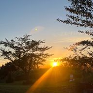 ちゃむさんのアイコン画像