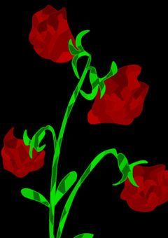 赤いダイヤの気持ち