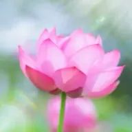 wkさんのアイコン画像