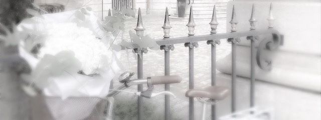 ‎ܰ ﾏ  城  .‎ ܱ  ➴⡱さんの壁紙画像