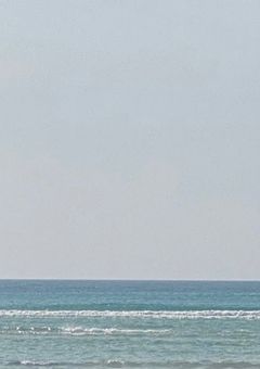 報告、ご連絡等