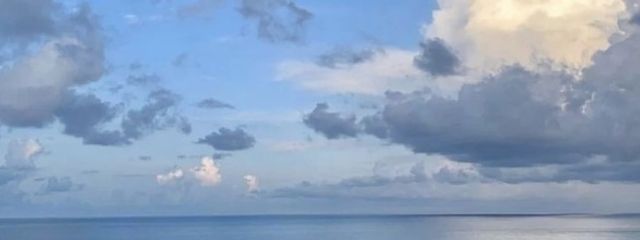 月嶋蓮 @꜀( ꜆˙𐃷˙)꜆🍌無浮上フォロバ100%さんの壁紙画像