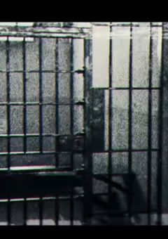 歪んだ 楽園 。