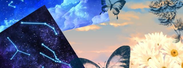 ブラウニー💭🍫さんの壁紙画像