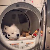 사유키💙💍 ̖́-さんのアイコン画像