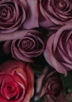 僕/俺達の恋人は