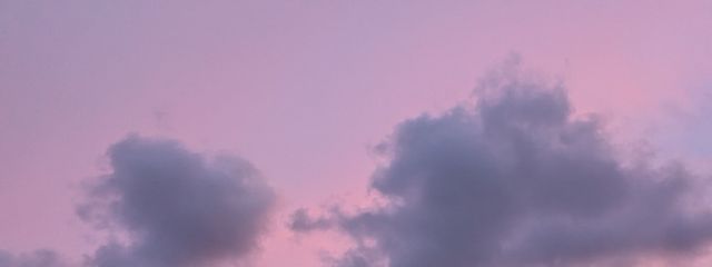 紅エビさんの壁紙画像